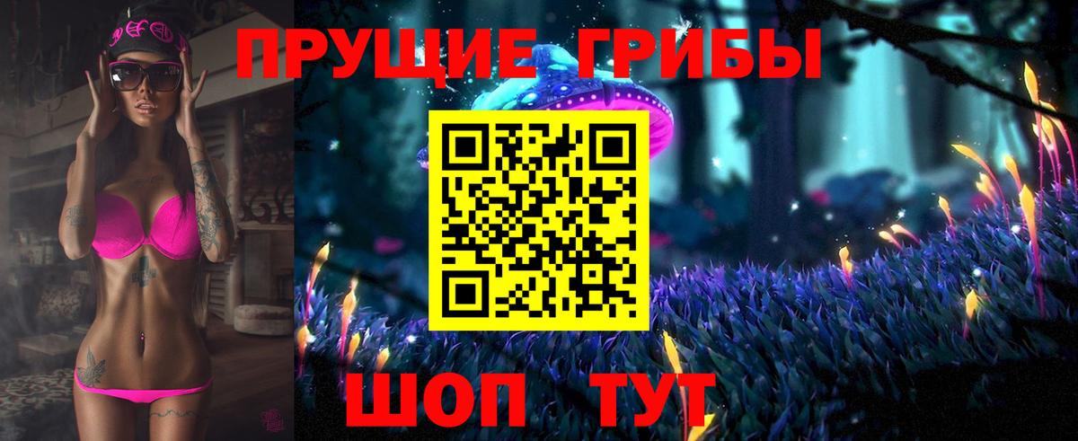 Галлюциногенные грибы прущие грибы  Псилоцибиновые грибы Psilocybe  Вход с VPN  Валуйки 